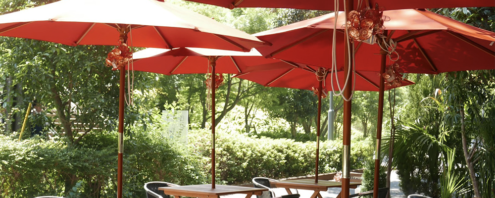 緑に囲まれ風が通るオープンエアのテラス席